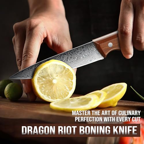 DRAGON RIOT Couteau à Fruit Damas Tranchant 12 cm, Couteau de Cuisine Professionnel avec Manche Ergonomique - Paring Off