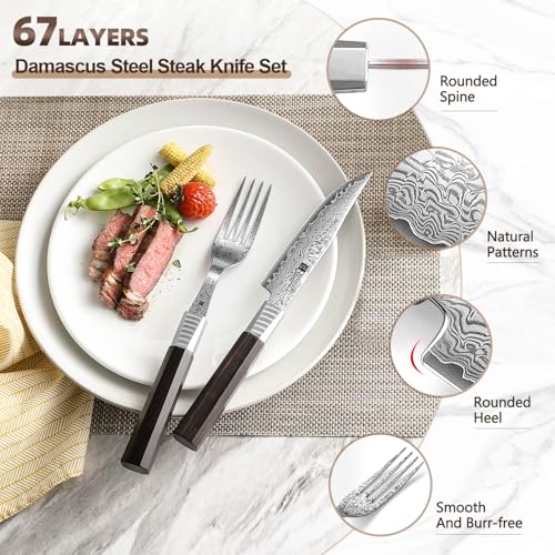 XINZUO Set de Couverts à Steak Éргономичная Поводка Дамаскового Ломти, 2 Pièces-67 Couches Acier Damas Couteaux et Fourc