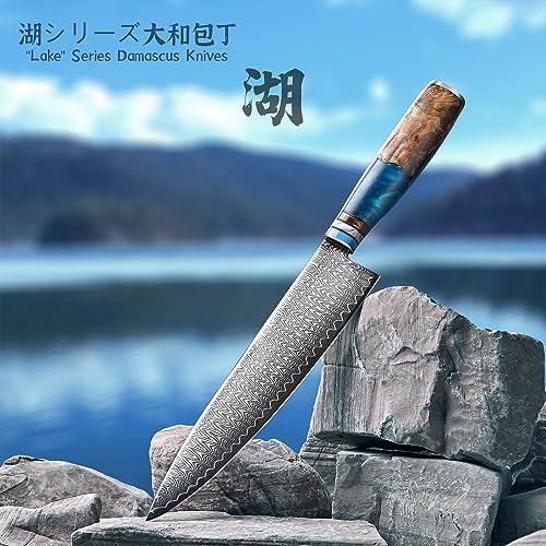 Couteau de Chef oFuun 67 Couches Acier Damas pour Professionnels, Lame 20cm Résine Bleu Handle Équipement Culinaire