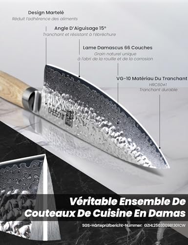 Knives Jingseiho Coffret De Couteaux De Cuisine En Véritable Damas, VG-10 et 67 Couches, Manche Ergonomique, Idéal Pour 